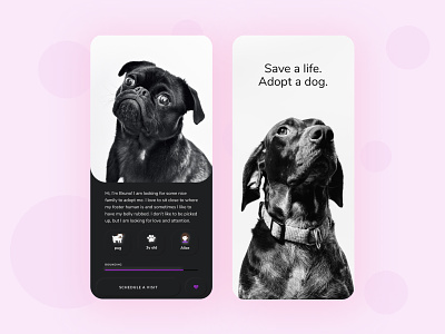 Dog Adopt App app clean design minimal mobile app mobile ui ui ux uxdesign uxui