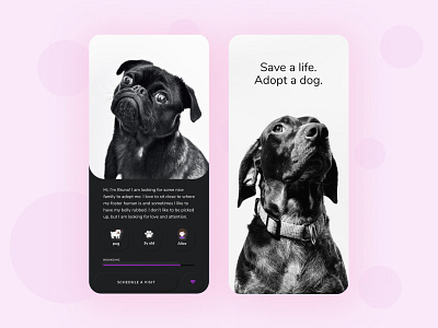 Dog Adopt App