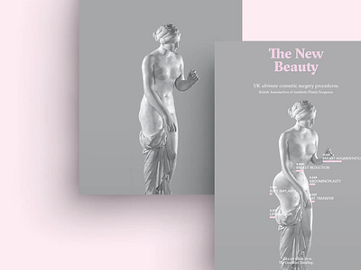 The New Beauty ancient beauty data data visualisation greek plastic statue surgery