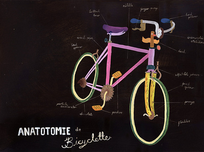 Anatotomie de Bicyclette illustration