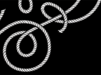 Swash Rope Detail calligraphy detail fray grunge lettering rope swash
