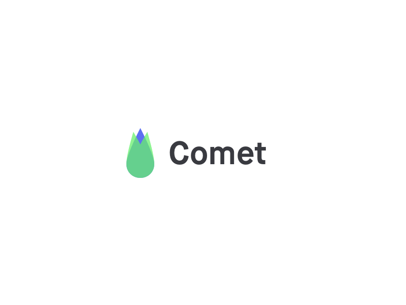 Comet — Logo branding colors comet design flat gif logo logomark maison neue font process typography wireframe