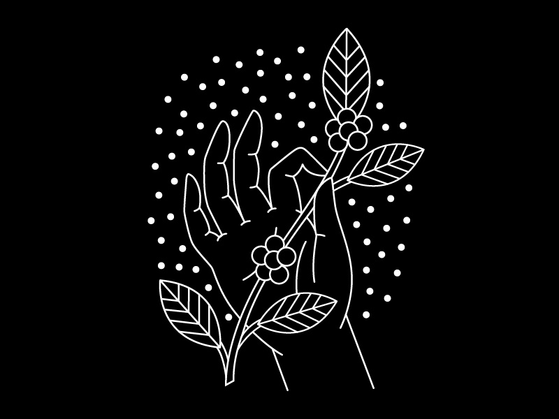 Coffee Plant vector apparel coffee coffee plant illustration