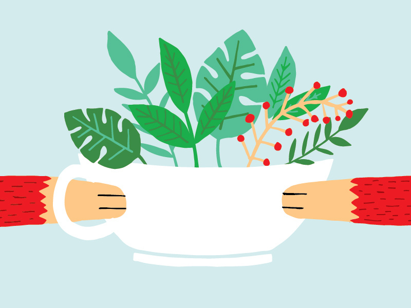 Plant Milk throwdown vegan illustration specialty coffee throwdown coffee shop cafe coffee fox