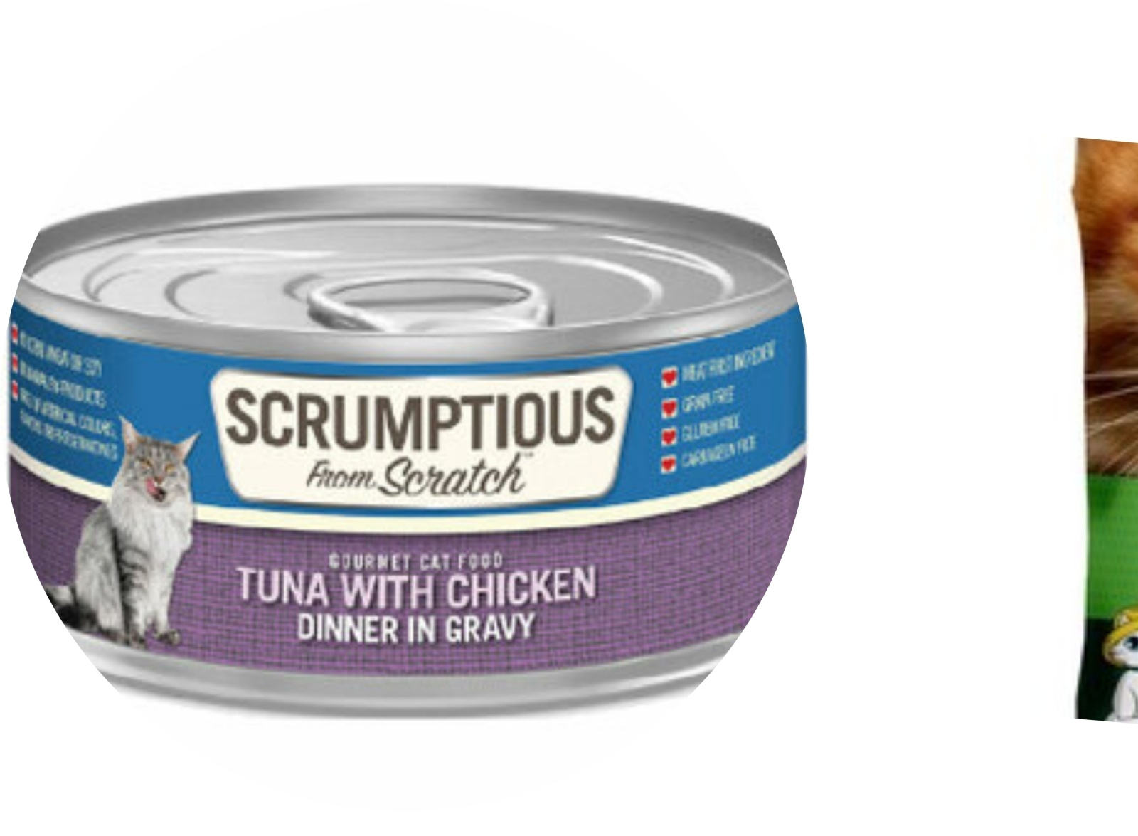 Best Pet Store in Lindenhurst Pets Warehouse by Pets Warehouse on