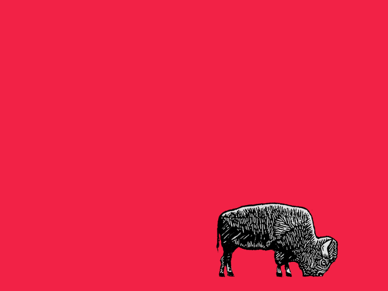 Bison Fart 2d animation bison buffalo explosion fart gif poop run cycle