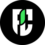 Pentaclay Branding & Web Design