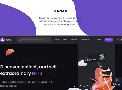 TERNAV blockchain branding crypto defi definftagency design fantom graphic design illustration nft nft marketplace photoshop polygan ui