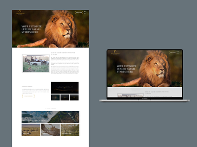 luxuryafricansafari.com design ux