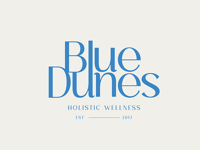 Blue Dunes Holistic Wellness | Creative Brief brand identity branding design graphic design illustration logo logo design typography ui vector