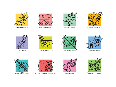 Illustration Aromas aroma illustration leaf organic plants soap