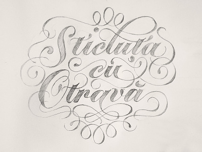 Sticluta Sketch calligraphy hand drawn hand lettered lettering letters sketch swash swashes
