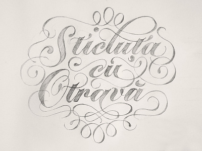 Sticluta Sketch