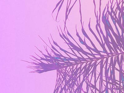 Purple Haze Palm Leaves