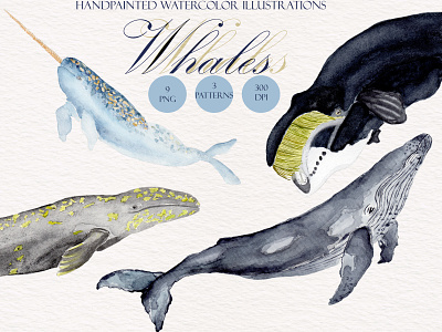 Whales animal blue illustration ocean watercolor whales