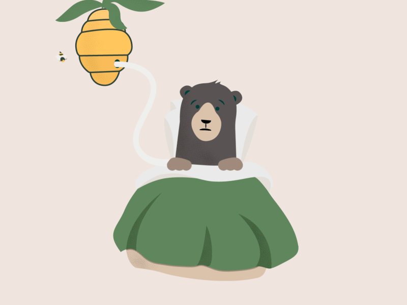 Animated bear