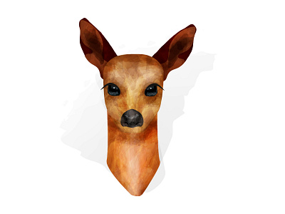 Fawn illustration