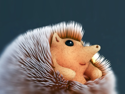 Cartoon Hedgehog 3d c4d cinema4 cinema4d illustration modeling persian