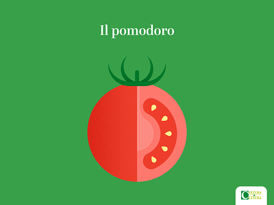 Tomato | Il Pomodoro agriculture agro colors fruits illustration texture tomato vegetables