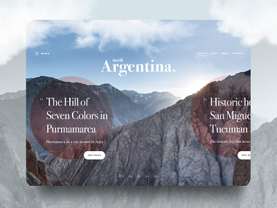 Argentina Web Tourism Concept argentina clean design form homepage layout simple typography ui ux web website