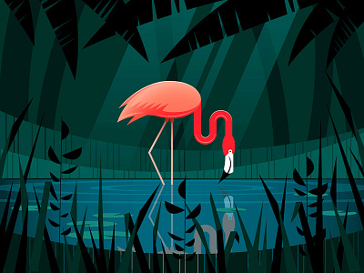 Flamingo bird flamingo pond rainforest trees weeds