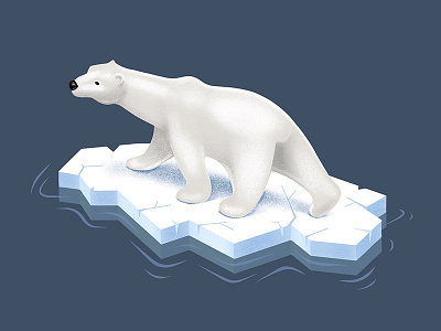 Polar Bear arctic bear climate ipad procreate