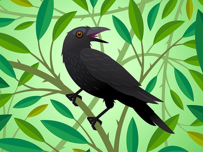 Crow bird foliage trees vector