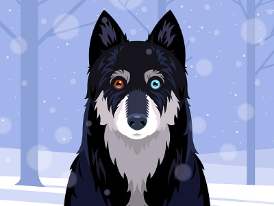 Mitzy dog portrait snow vector winter woods