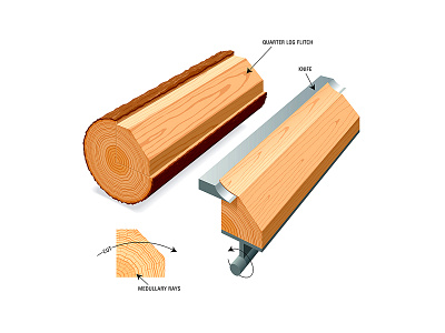Veneer educational illustration sawmill technical vector wood