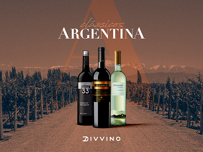 Clássicos Argentina divvino.com.br argentina cabernet clássico e commerce malbec sauvignon vinho wine