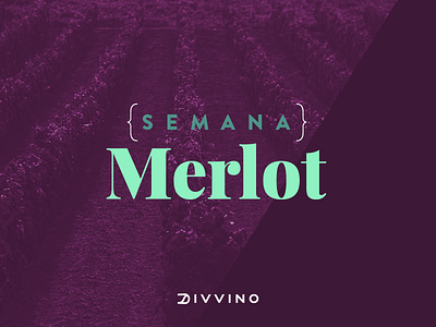 Semana Merlot divvino.com.br bebidas e commerce merlot semana vinho week wine