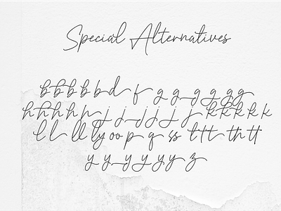 WhiteDay Handwriting Script Font