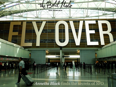 The Bold Italic: Fly Over