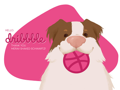 Hello dribbble! australian shepherd ball dog dribbble hello hello dribbble illustraion introduction ipad thank you