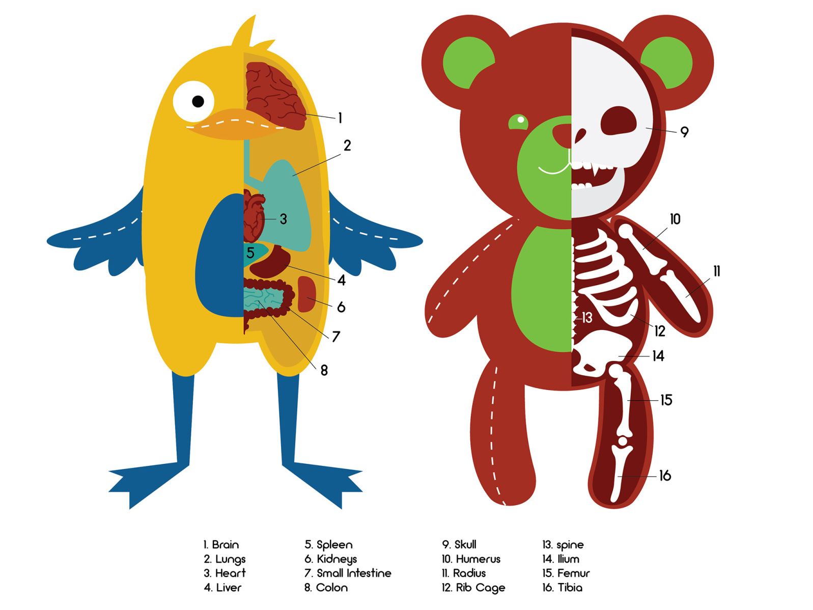 Anatomy of a plushie by May Bresler Herzog on Dribbble