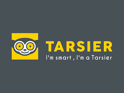 TARSIER branding fun geometric logo modern