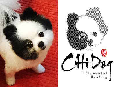 Chi Dog dog fun illustration logo