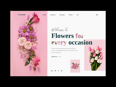 Flowers Website Design branding design illustration landing page ui visual design web design website design