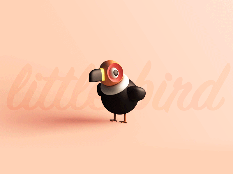 Little bird