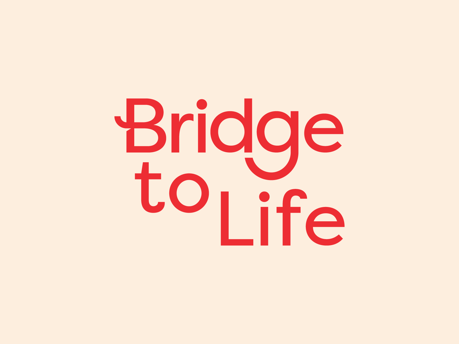 Bridge To Life art branding color design graphism illustration logo typography vector