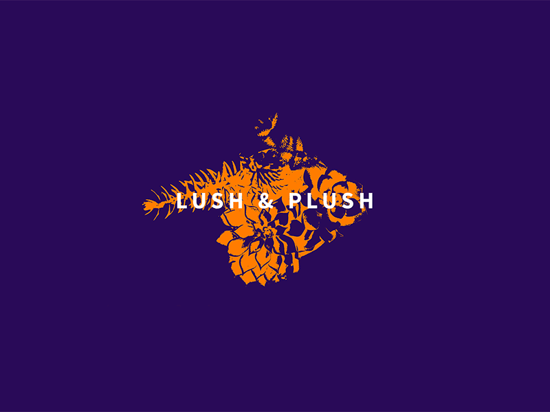 Lush & Plush Brand Identity brand identity branding logo logomark visual identity wordmark