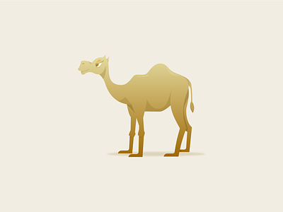Camel animal camel camels desert gradient humpday illustration