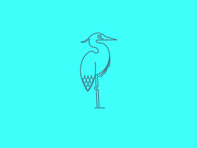 Heron bird heron