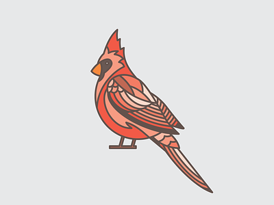 Red Cardinal bird cardinal cardinals lines ohio state
