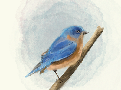 Bluebird