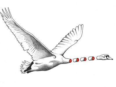 Swan illustration