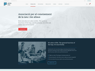 Acna website branding design ui ux web website