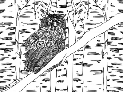 Wise and Watchful Owl black and white design graphic design owl zentangle