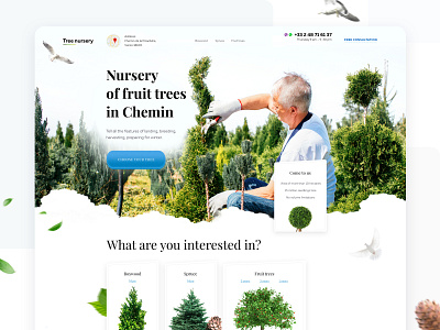 Tree 'zzz birds card design green interface landing lp nursery site trees web
