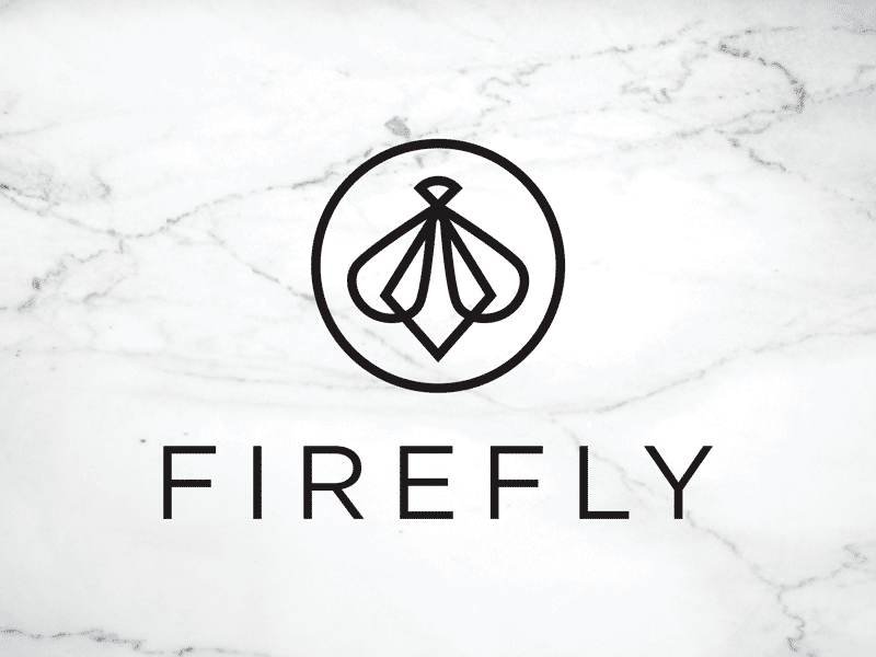 Firefly Logo branding geometric logo